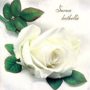 Pieni adressi Ruusu tekstitön, 2-os — kauppa.memoriale.fi